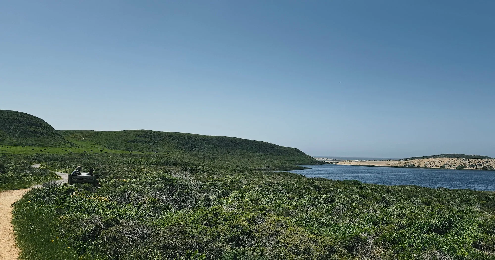 Green coastal hills rolling alongside the Abbotts Lagoon Trail