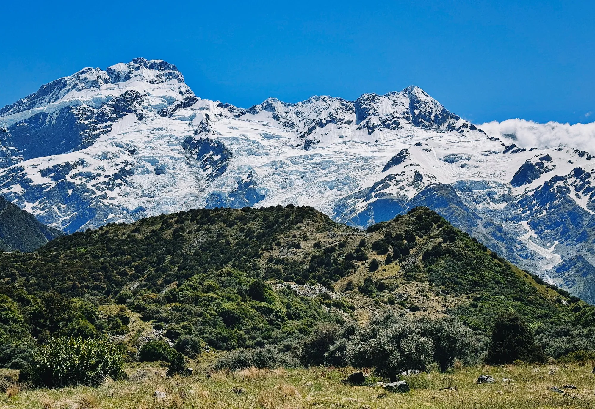 Snowy mountains and spring vegetation near the beginning of the trail