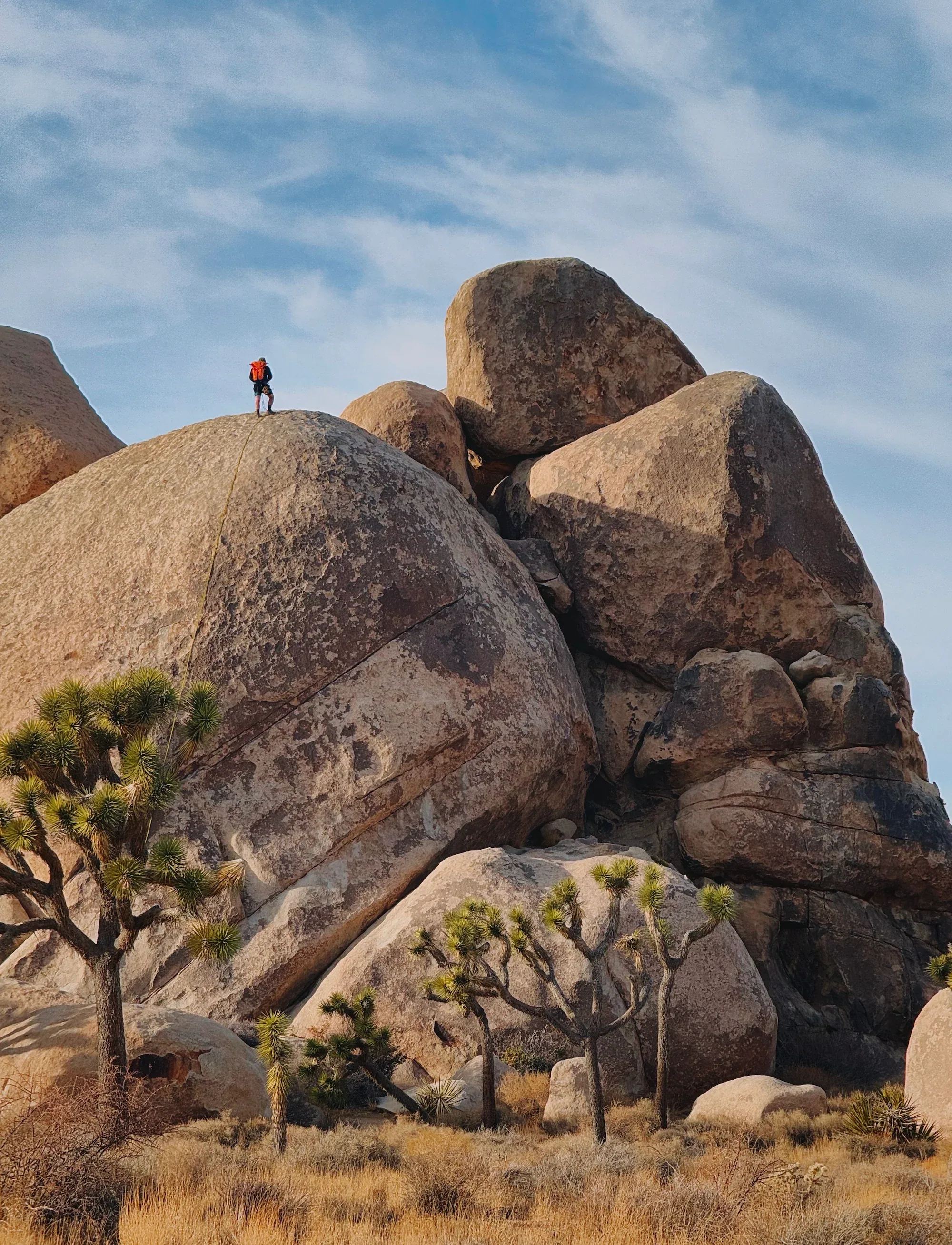A quiet vertical study of weathered desert rock