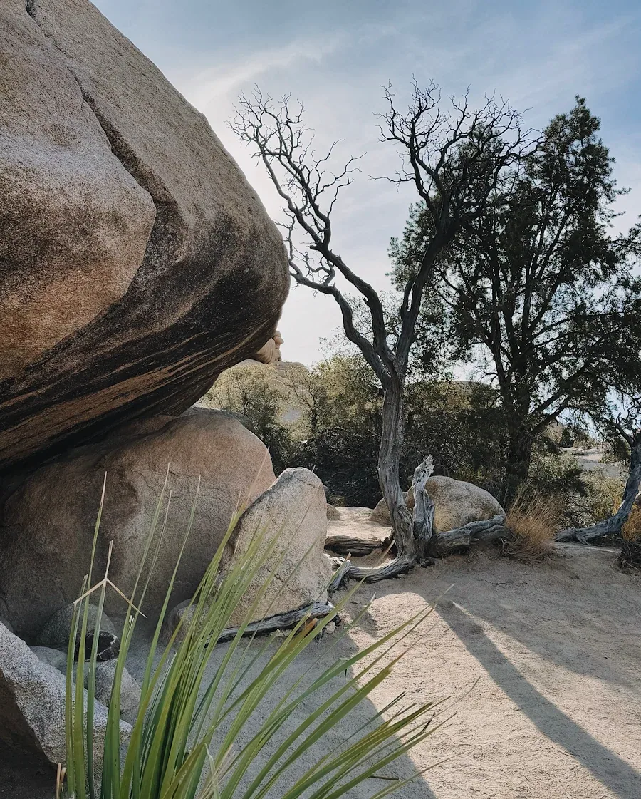 The Barker Dam Trail weaving through arid formations