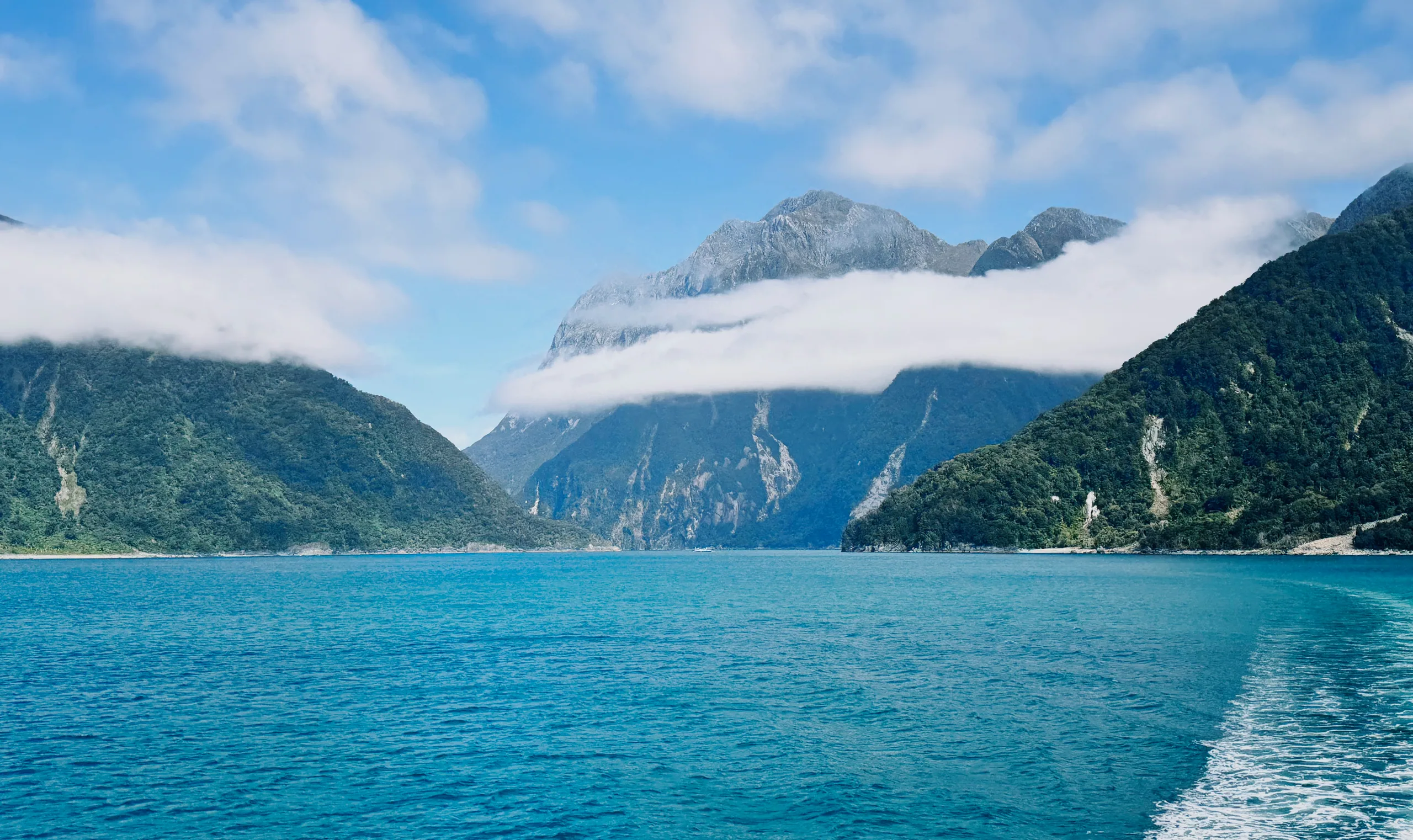 Layered rock faces descending into the fluorescent water of Milford Sound