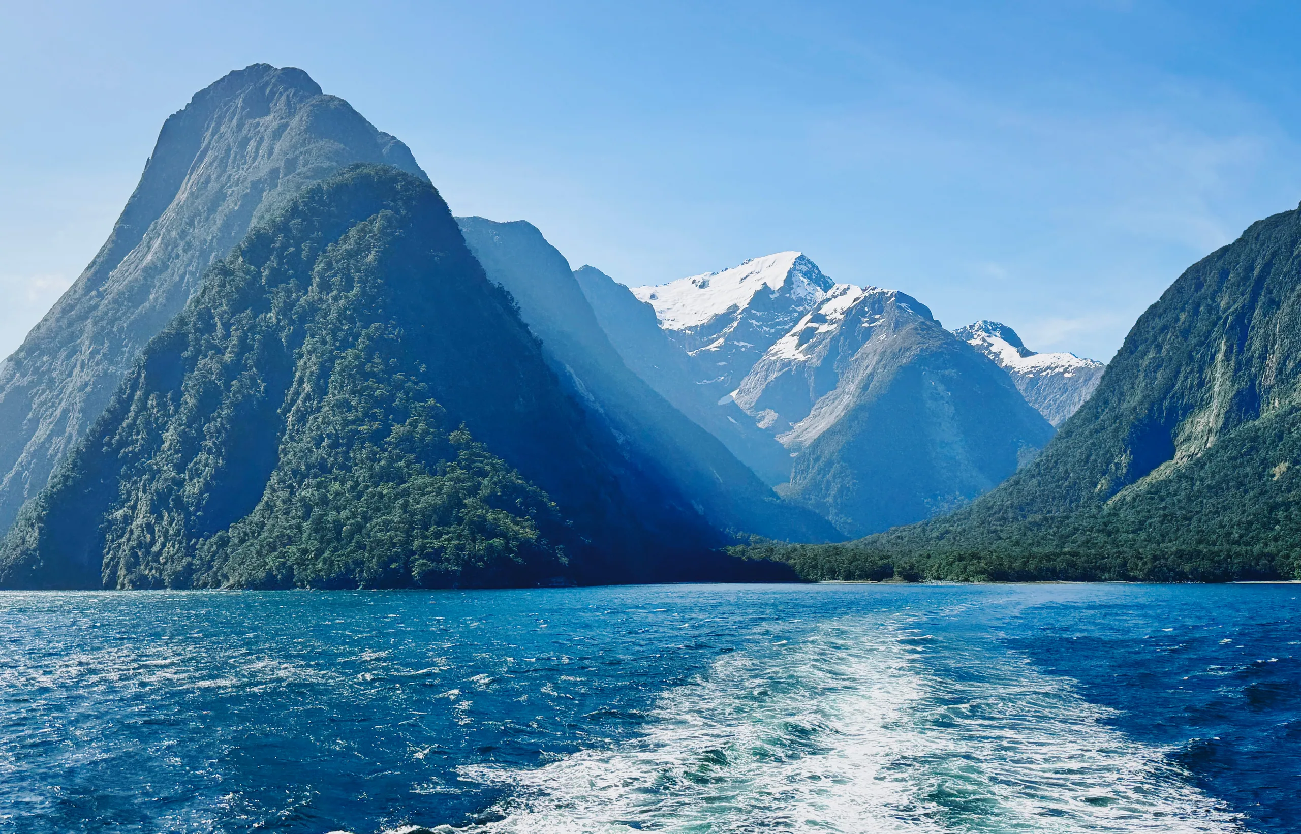 A cruise wake trailing through Milford Sound beneath steep green mountains