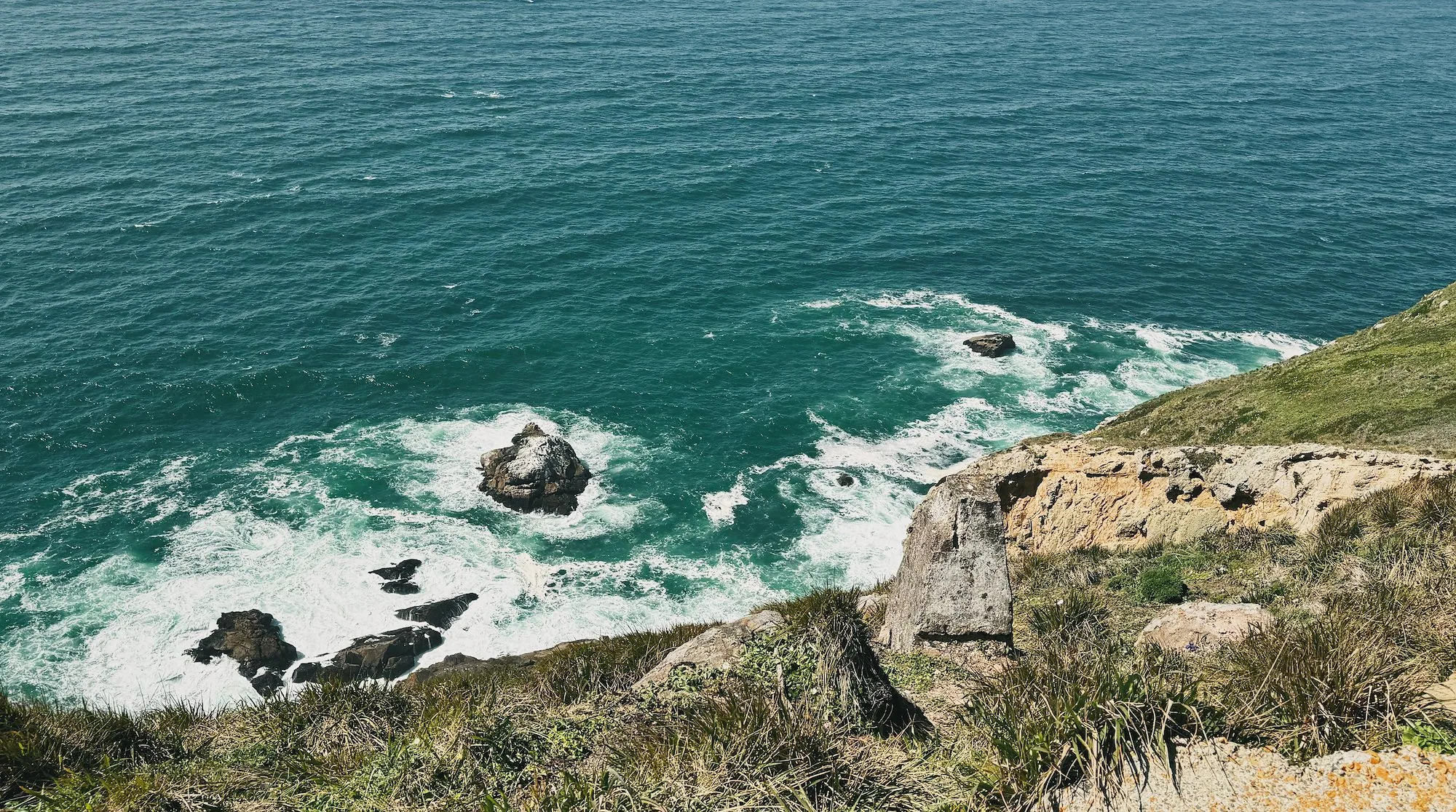 The path winding through the Point Reyes Lighthouse compound