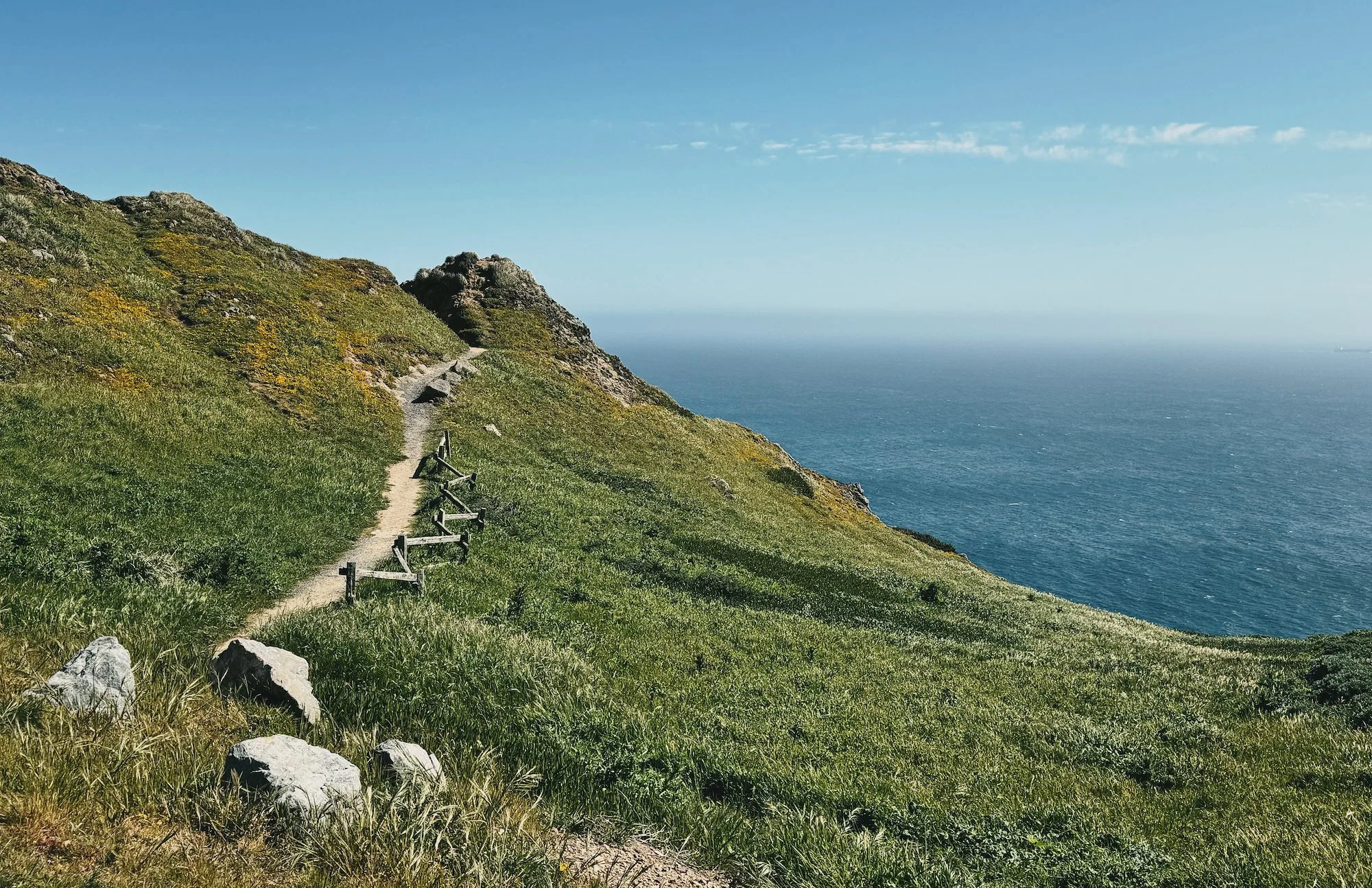A short coastal path rounding the bend toward a whale-watching point