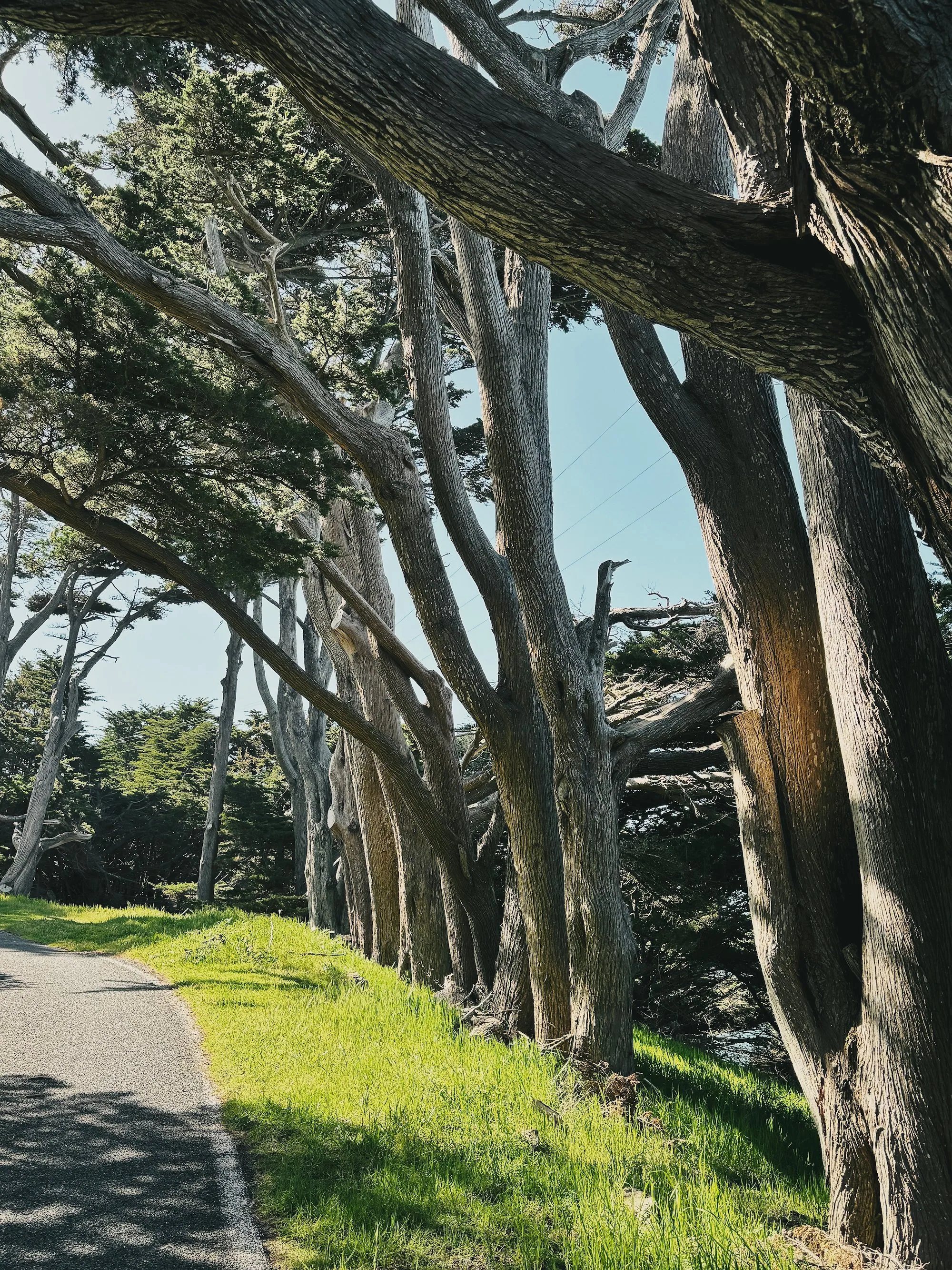The historic Point Reyes Lifeboat Station beside Drakes Bay