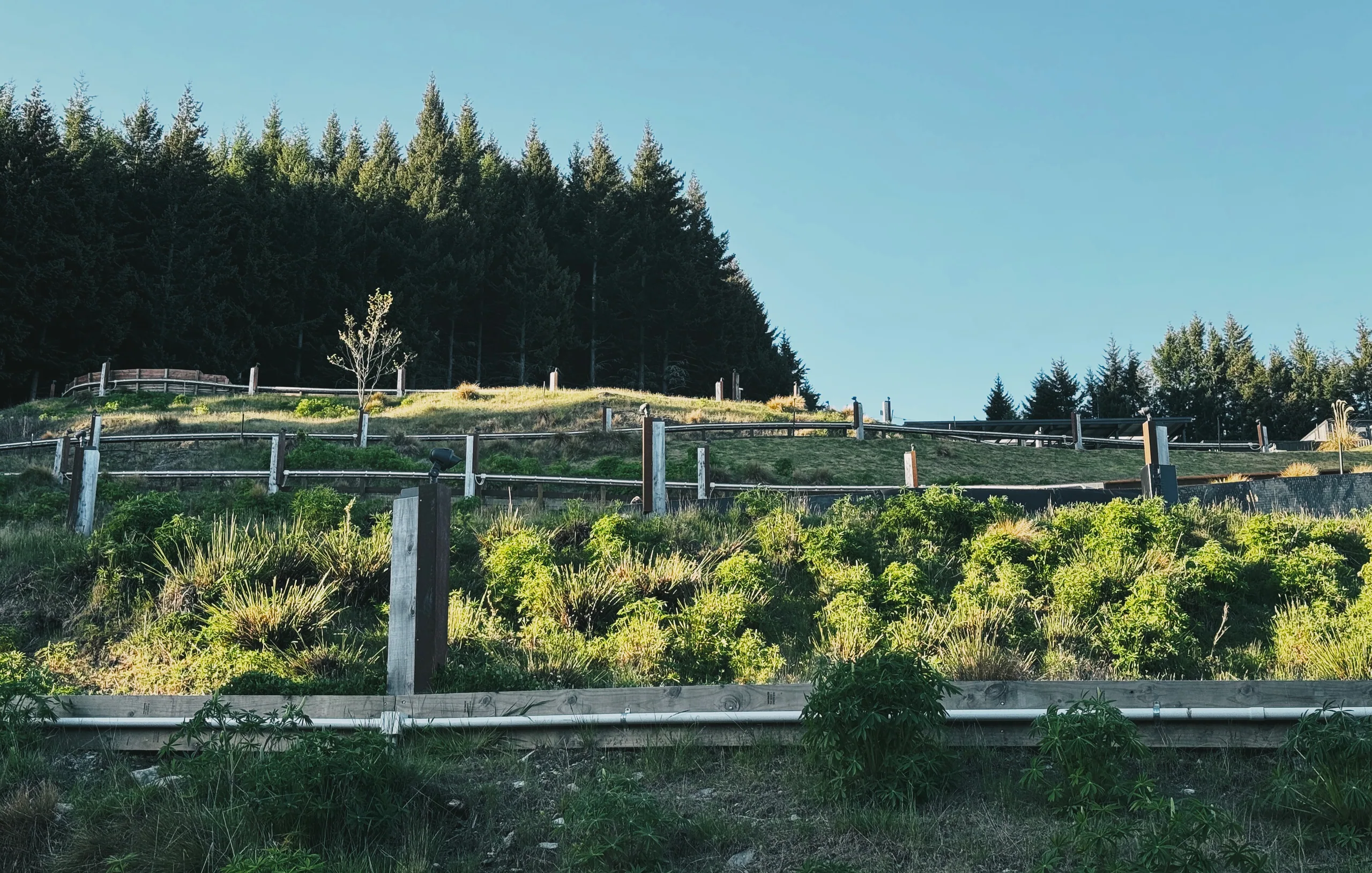 The Queenstown luge track winding through vegetation