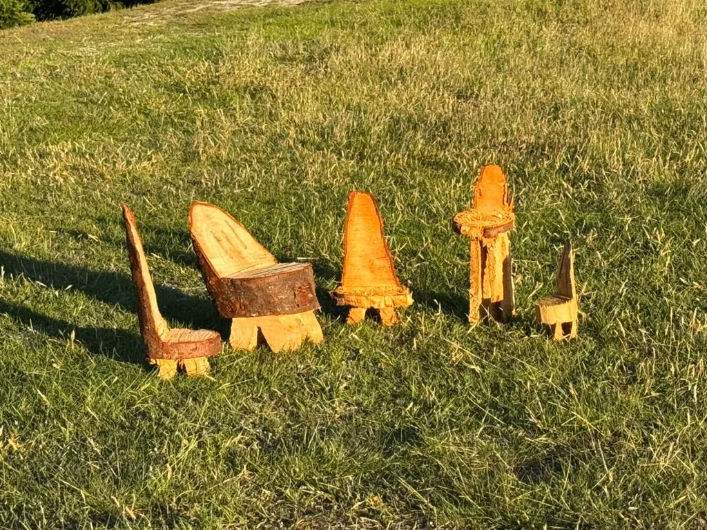 Whimsical carved wooden chairs near the Skyline Loop Track