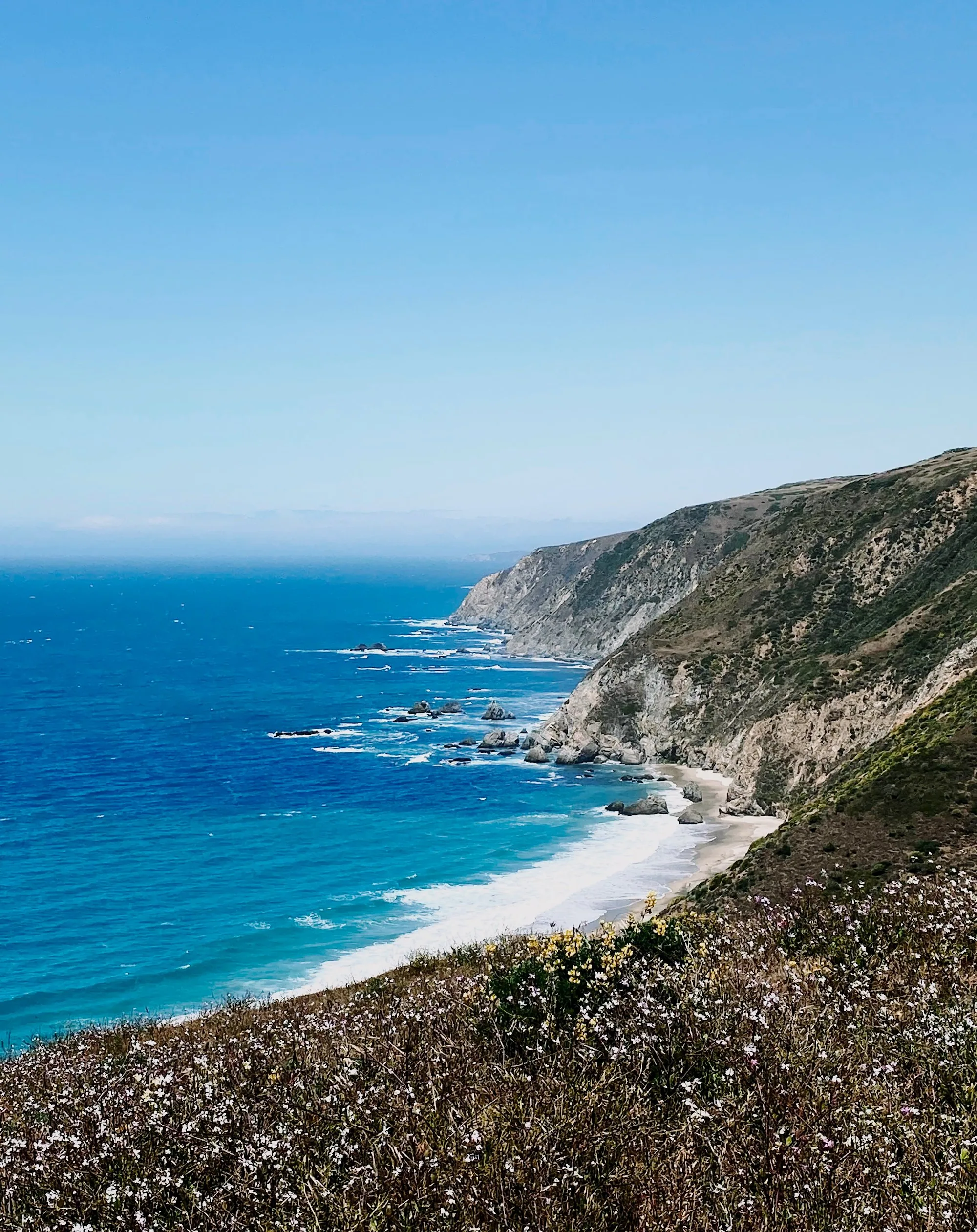 The Tomales Point Trail winding above the Pacific coast