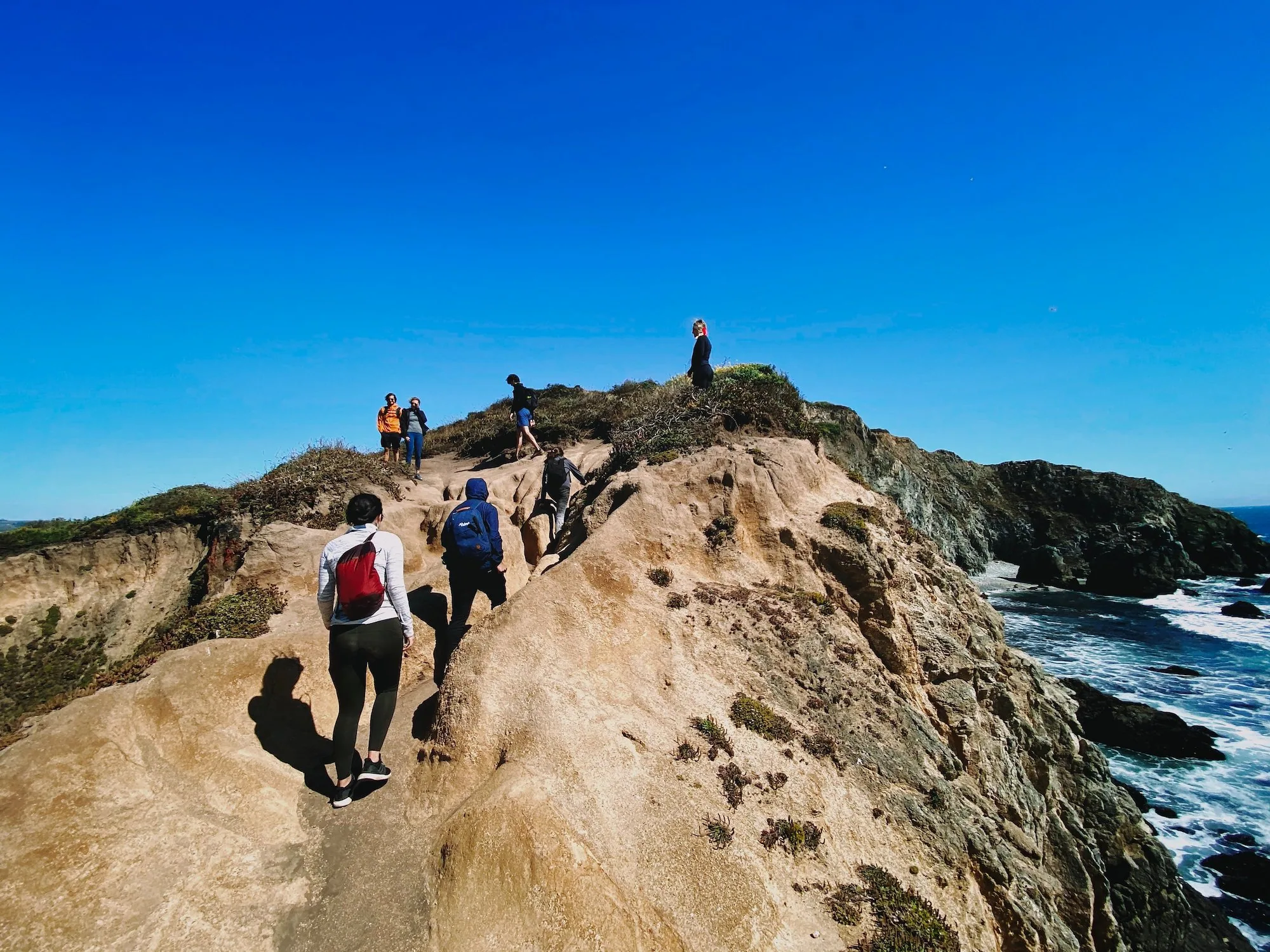 The narrow path descending toward the water at Tomales Point