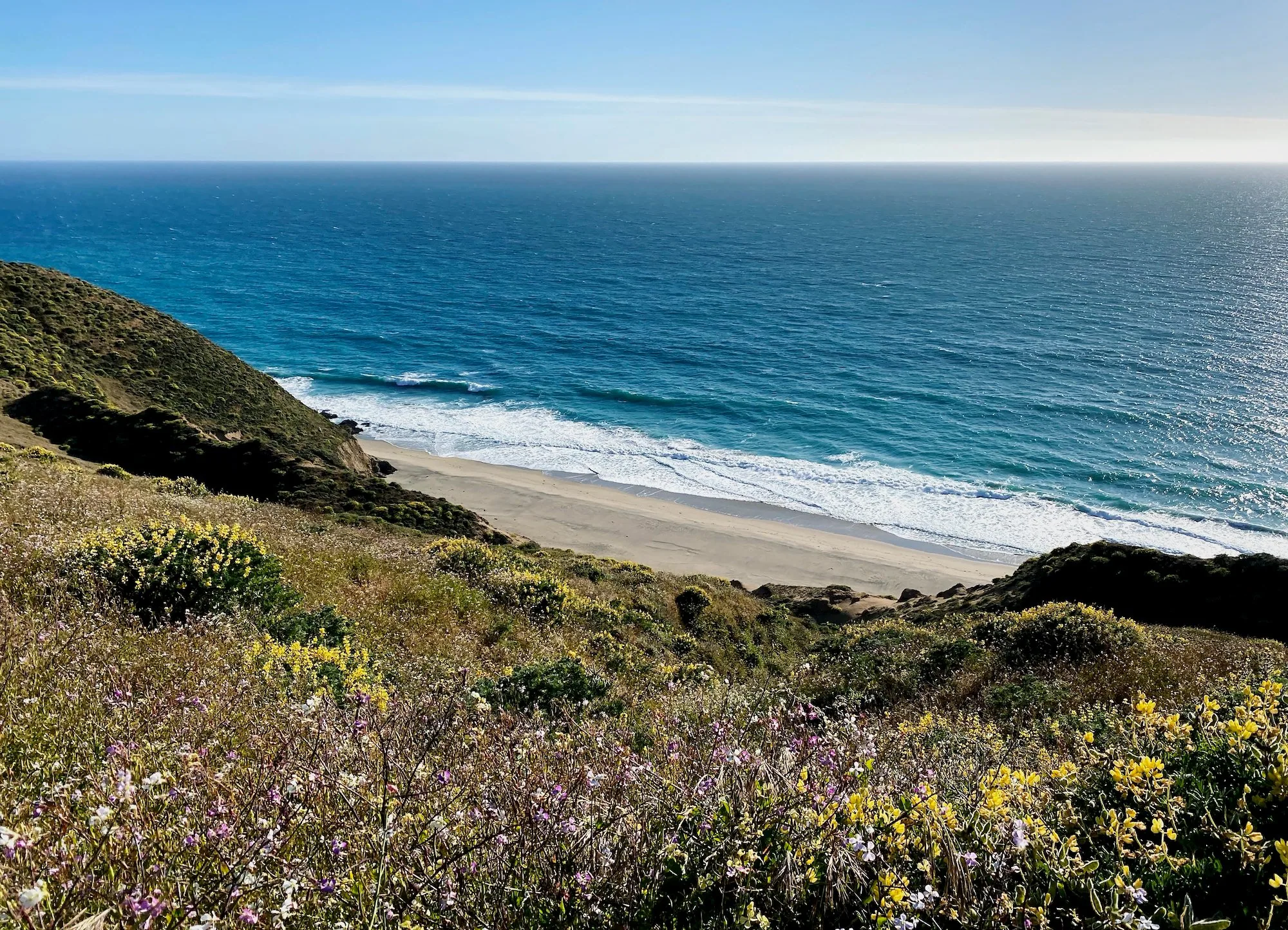 A rugged Point Reyes beach seen from the coastal trail